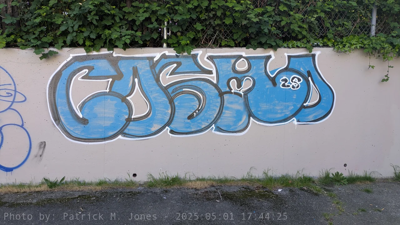COSMO in teal