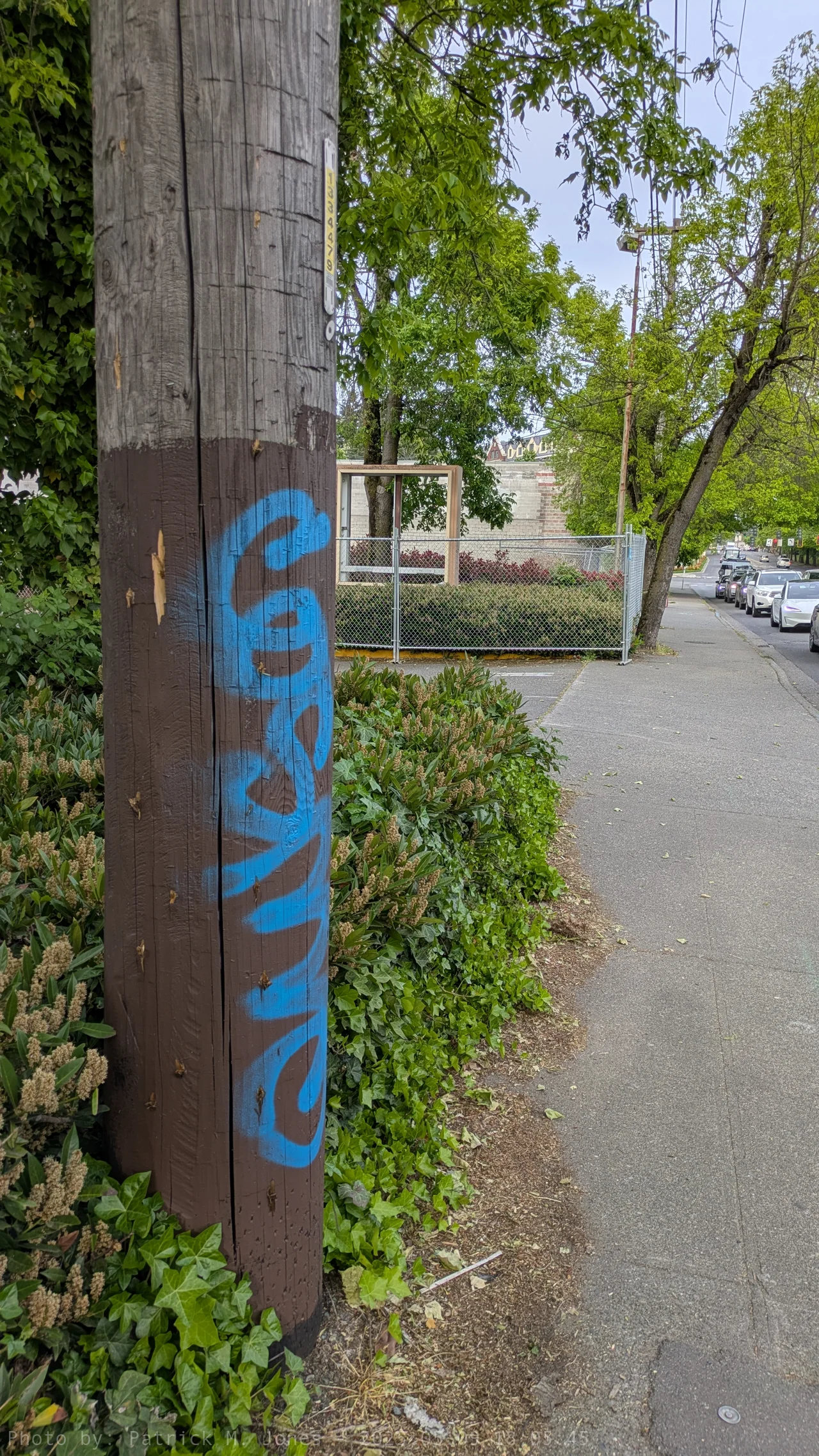 COSMO tag on a phone pole