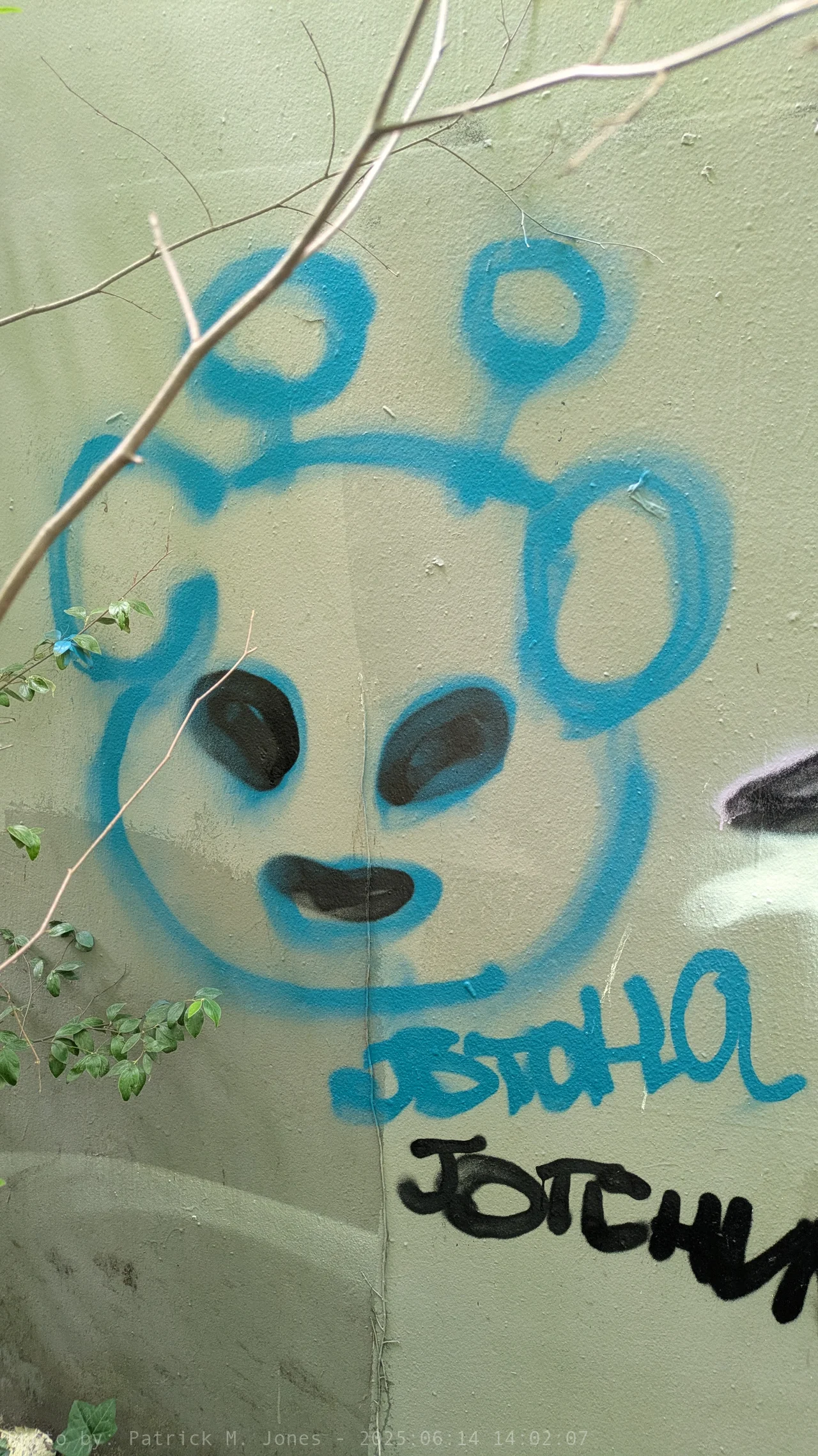 JOTCHUA