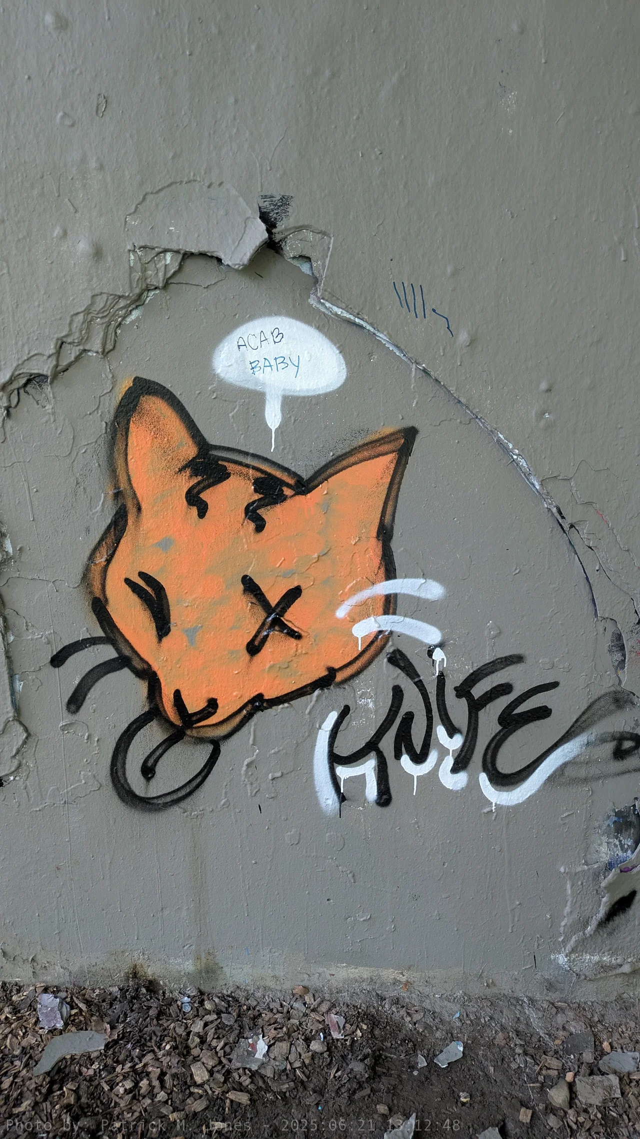 A cat sticking its tongue out, signed Knife