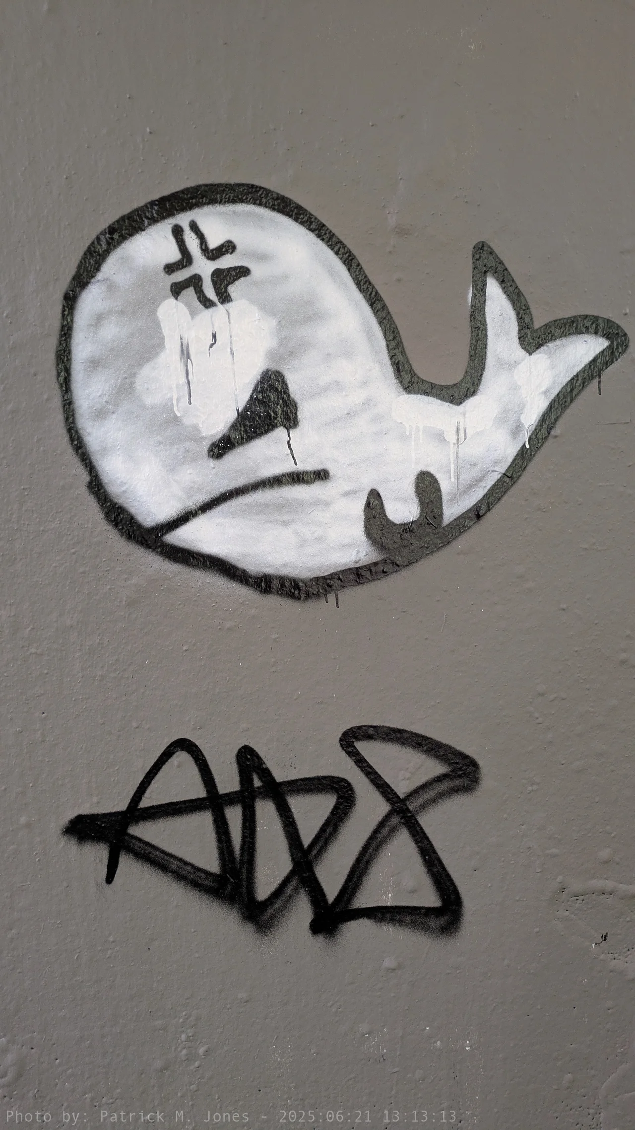 White whale
