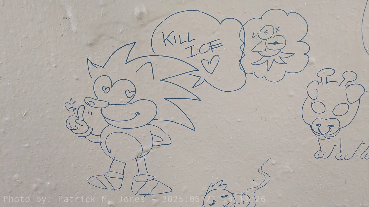 Sonic saying Kill ICE