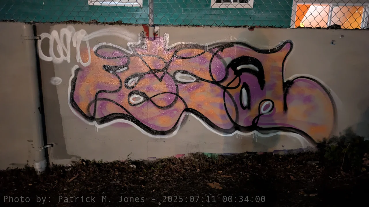 Wild FECAL in sorbet colors