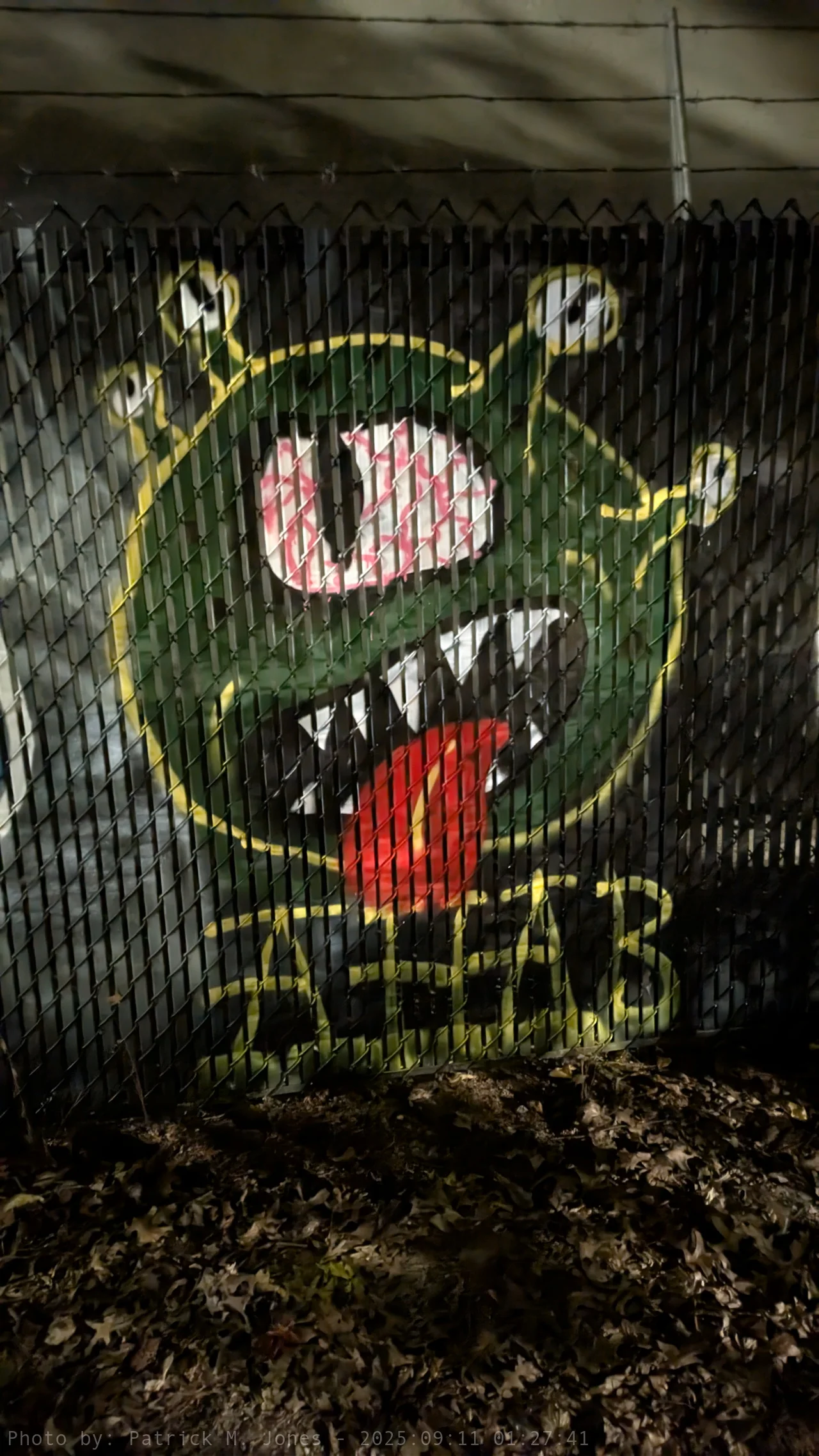 Green beholder