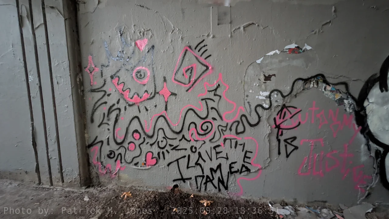 I love the damned
