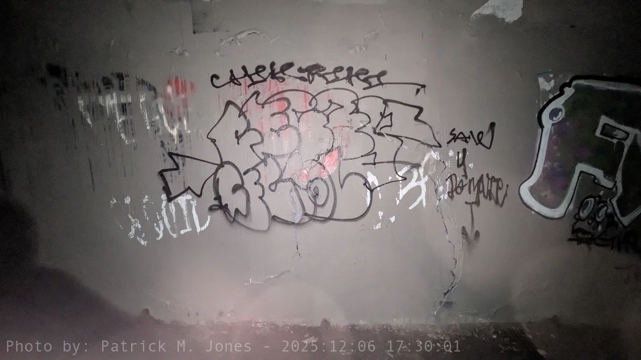 FECAL FECAL